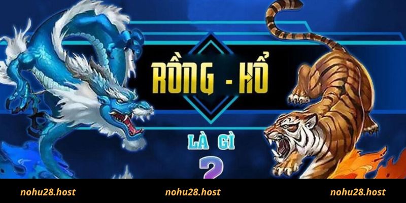 Kinh nghiệm cho người chơi game rồng hổ